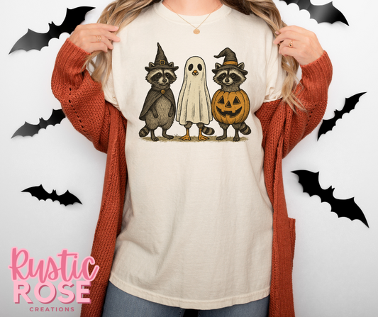 Spooky Racoons